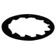 1/4IP Steel Shake Proof Lock Washer - Black