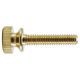 3/4" Turned Brass Thumb Screw - Unfinished