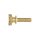 1/2" Turned Brass Thumb Screw - Unfinished