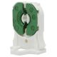 T8/T12 LED Tombstone, Medium, Slide-On, Non-Shunted with Locator Pin