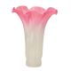 4" Tulip Glass - Acid Etched Pink and White